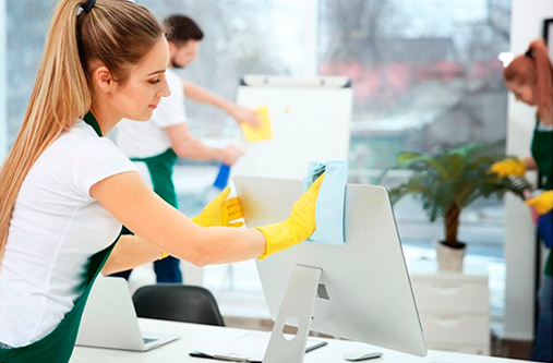 Professional Cleaning Services